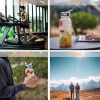 Portable Water Bottle with Straw for Camping & Hiking & Fitness